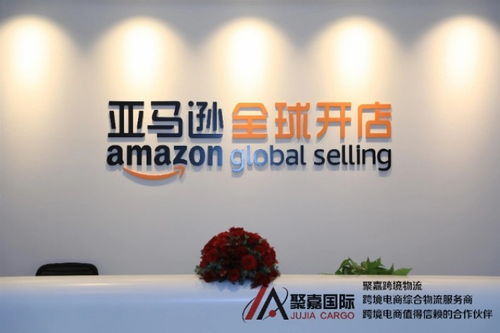 上海至墨西哥FBA海運(yùn)與空派專線物流 聚嘉跨境物流的國際代理服務(wù)