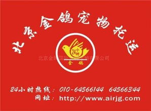 專業(yè)國際寵物托運(yùn)出境服務(wù) 北京金鴿國際寵物托運(yùn)代辦指南