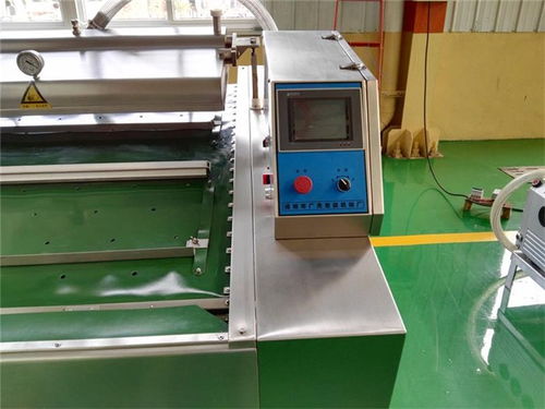 寧夏傳送帶式真空包裝機(jī)價(jià)格解析與技術(shù)咨詢(xún)指南——以諸城廣元機(jī)械為例