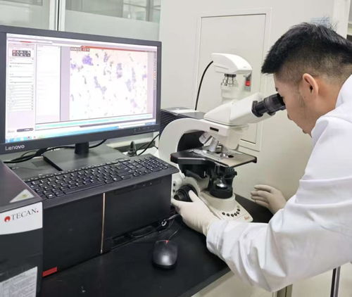 38.97億刷新紀(jì)錄！呼和浩特科創(chuàng)成果轉(zhuǎn)化跑出“首府速度”